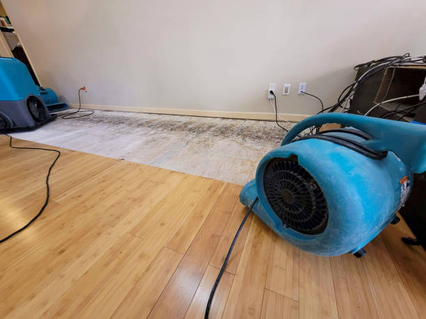 Reliable Basement Flood Cleanup contractor in Belmont, MA by Hirex Water Damage