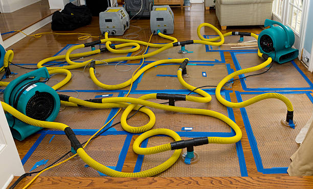 Professional Basement Flood Cleanup technician working in Belmont, MA
